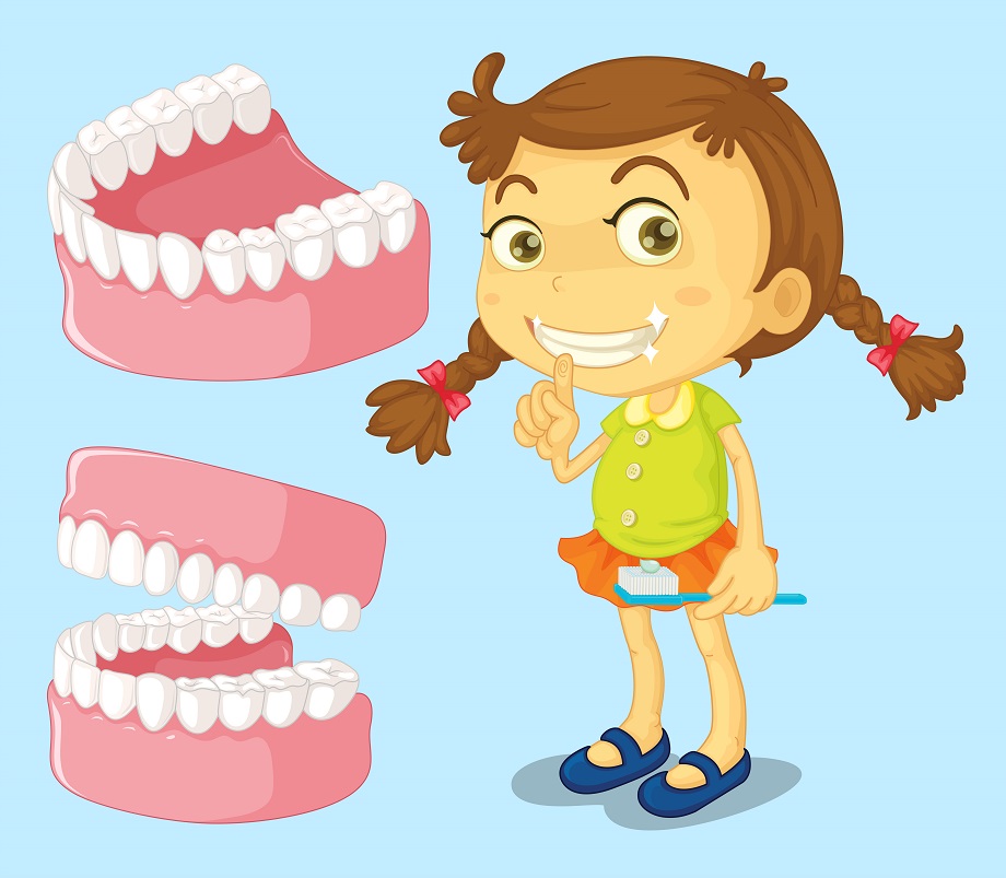 Little girl with clean teeth illustration